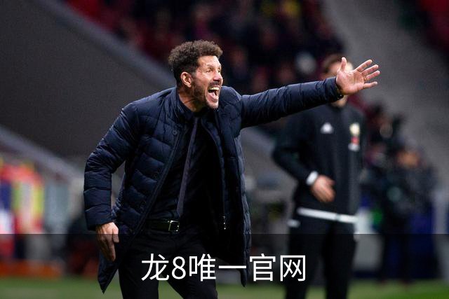 龙8唯一官网平台介绍图片
